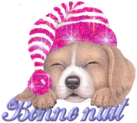 bonne nuit chien